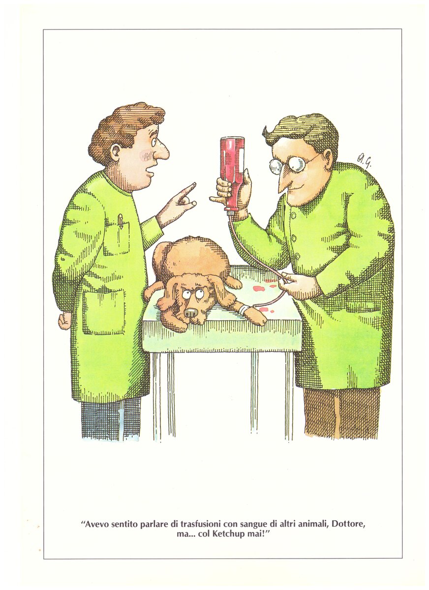 Cartolina di richiamo - illustrazione veterinaria